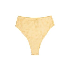 New 100% Silk Herth Panties